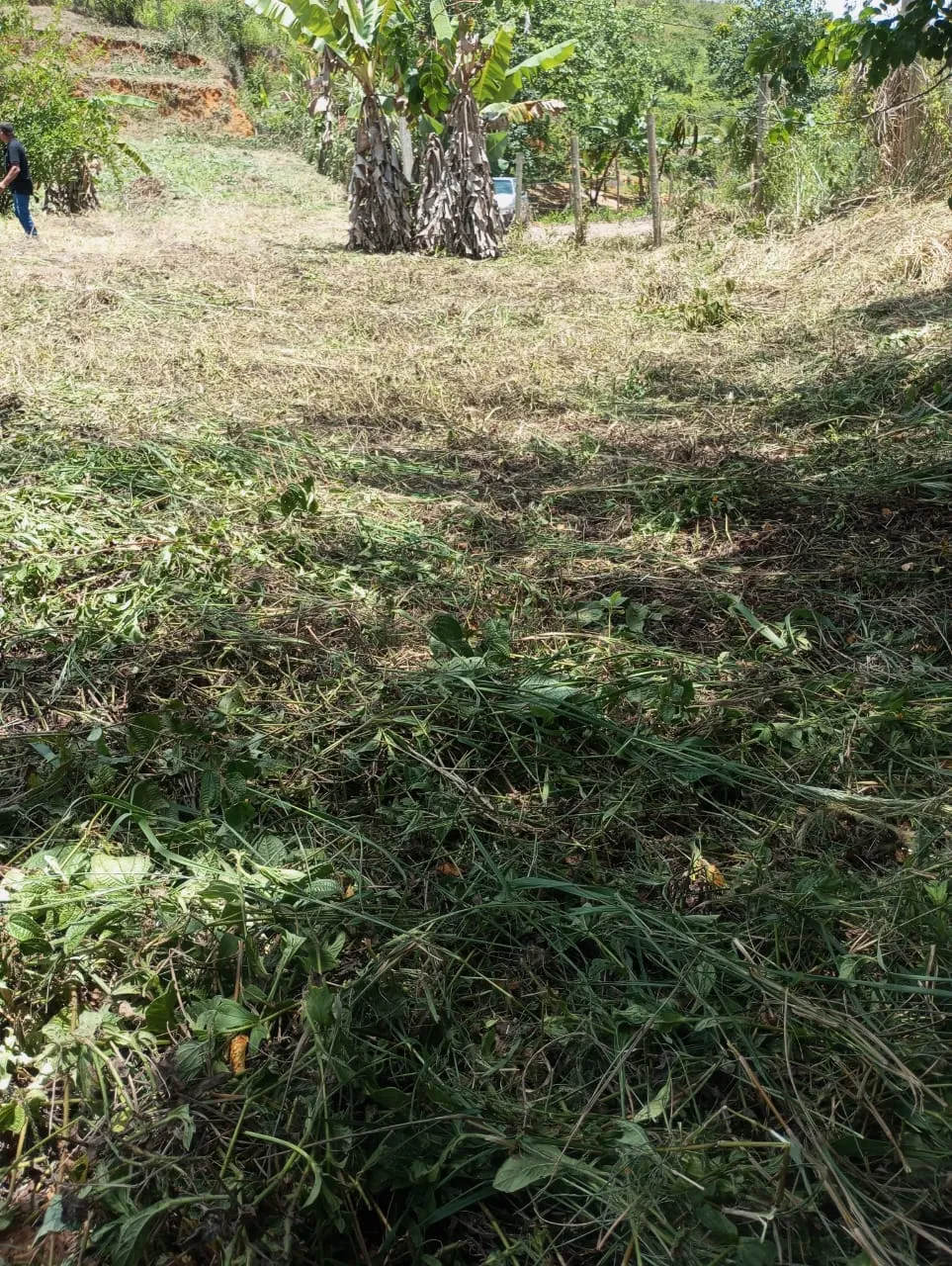 Vista do terreno em Ibiraçu