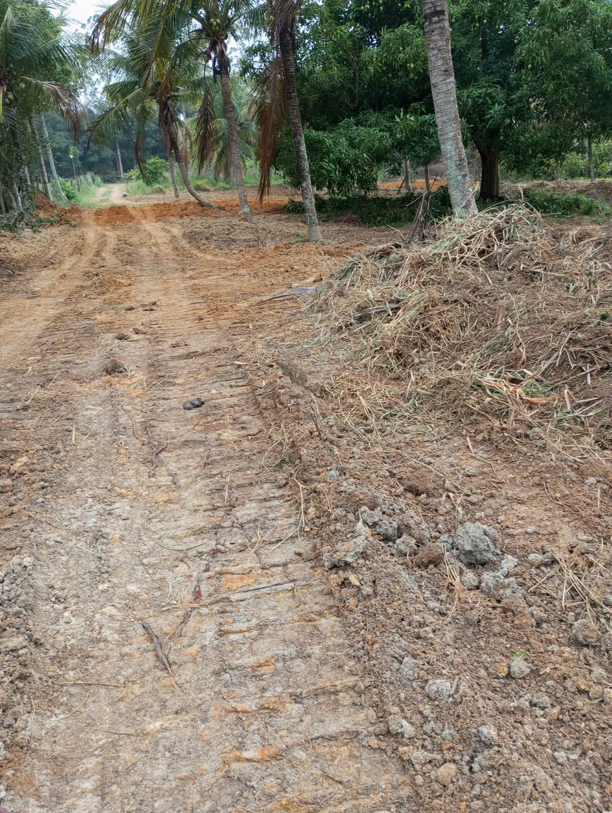 Terreno em Pedro Palácio com casa e pesqueiro