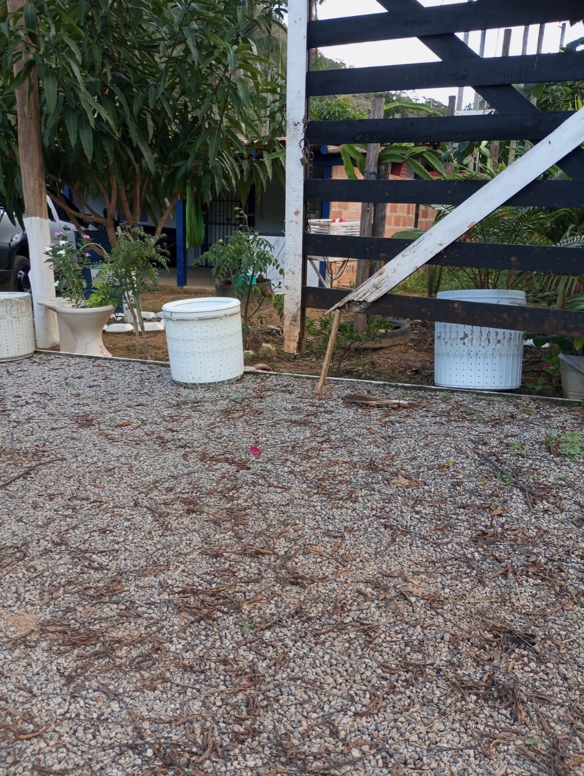 Miniatura: Porteira e cercamento na entrada do terreno rural em Aracruz