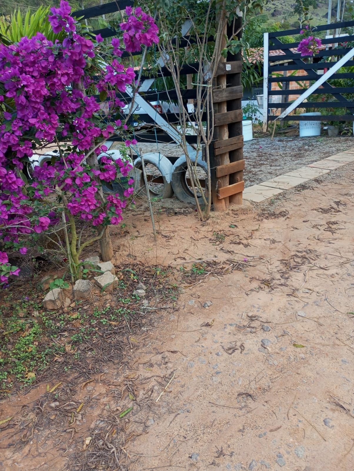 Miniatura: Caminho de terra e cercamento entre as áreas do terreno em Aracruz