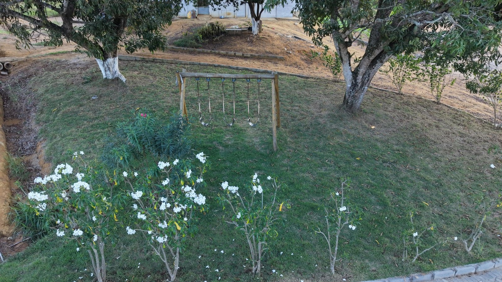 Miniatura: Estruturas cobertas e área verde vistas de cima em Fundão