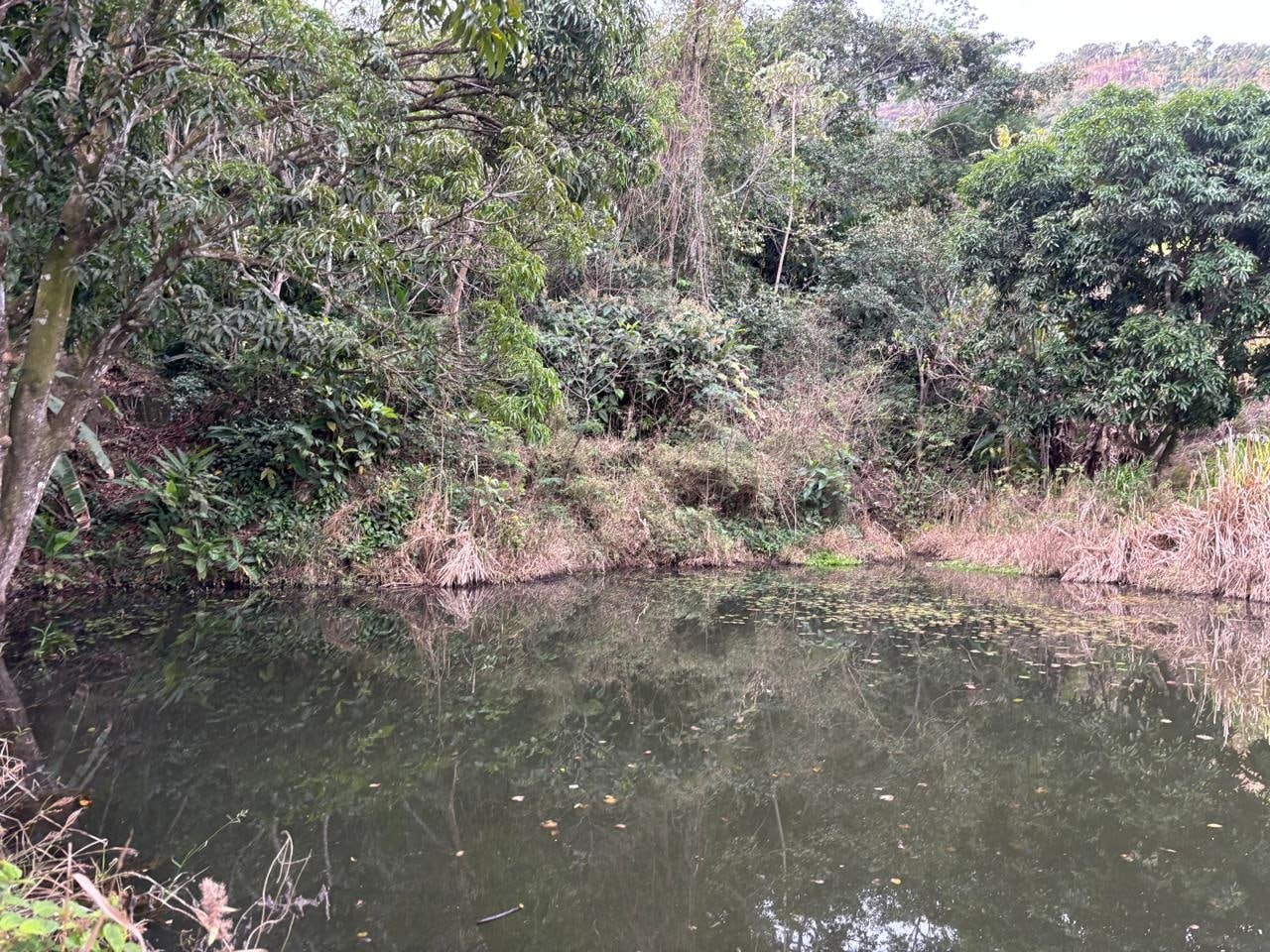 Vista ampla da serra a partir do terreno em Fundão
