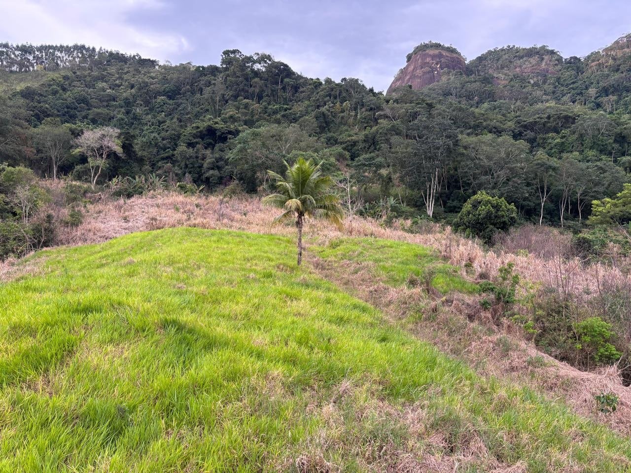 Miniatura: Área aberta com relevo e vegetação ao redor do terreno