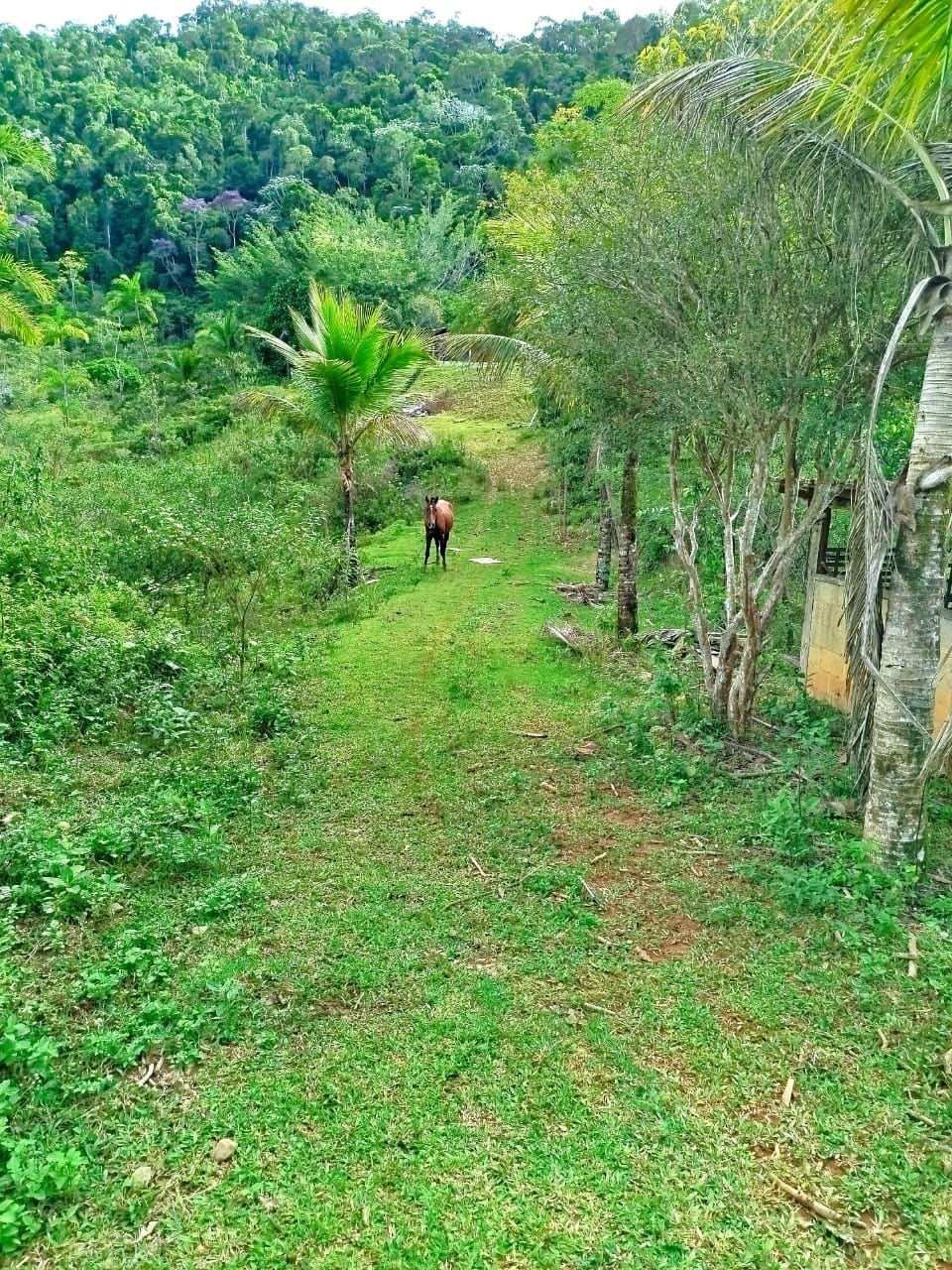 Pequena casa com varanda e piscina na área rural
